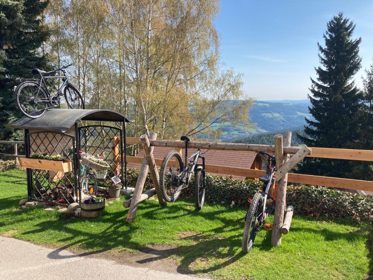 Weixl Schi&Bike Appartements-Bike In&Bike Out Neben Wexl Trails Bikepark Sankt Corona am Wechsel Eksteriør billede